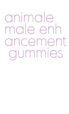 animale male enhancement gummies