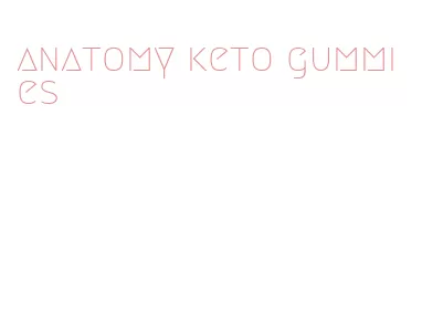 anatomy keto gummies