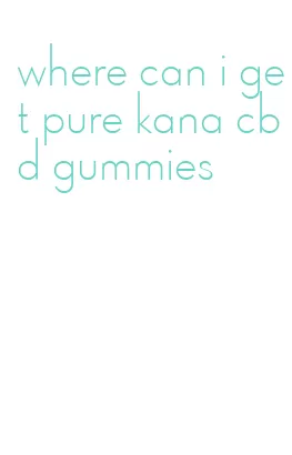 where can i get pure kana cbd gummies