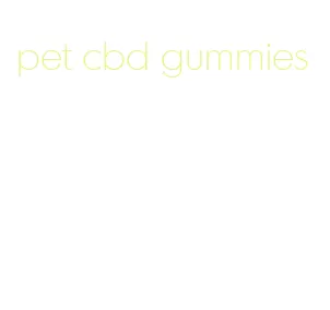 pet cbd gummies