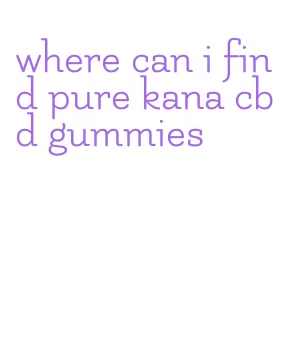 where can i find pure kana cbd gummies