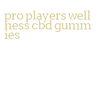 pro players wellness cbd gummies