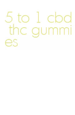 5 to 1 cbd thc gummies