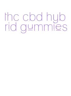 thc cbd hybrid gummies