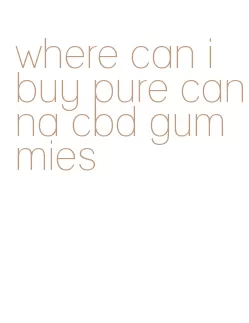 where can i buy pure canna cbd gummies
