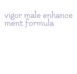 vigor male enhancement formula