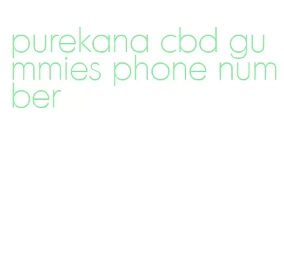 purekana cbd gummies phone number
