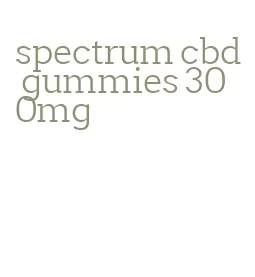 spectrum cbd gummies 300mg