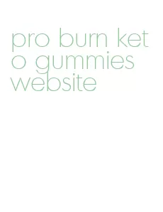 pro burn keto gummies website