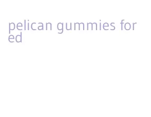 pelican gummies for ed