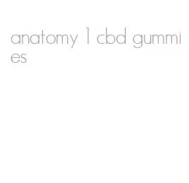 anatomy 1 cbd gummies