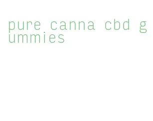 pure canna cbd gummies