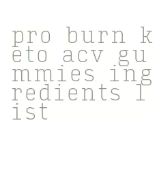pro burn keto acv gummies ingredients list