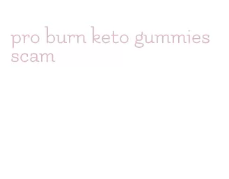 pro burn keto gummies scam
