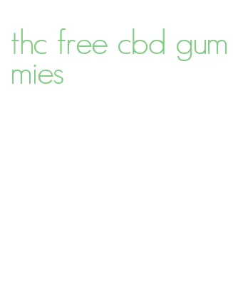 thc free cbd gummies