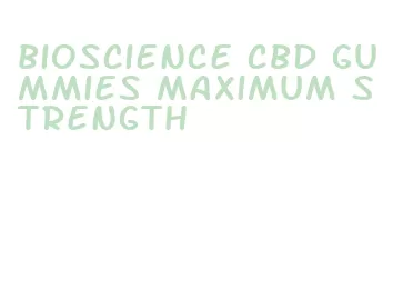 bioscience cbd gummies maximum strength