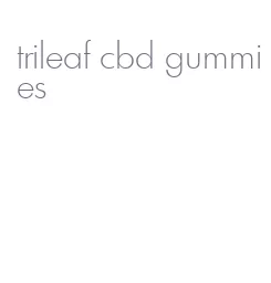 trileaf cbd gummies