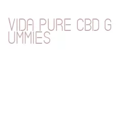 vida pure cbd gummies