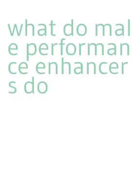 what do male performance enhancers do