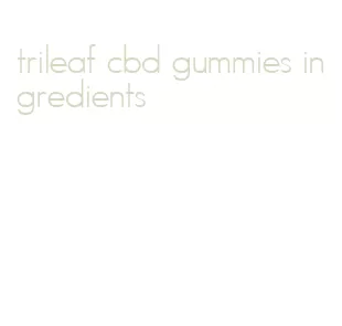 trileaf cbd gummies ingredients