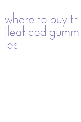 where to buy trileaf cbd gummies