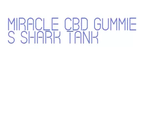 miracle cbd gummies shark tank