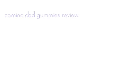 camino cbd gummies review