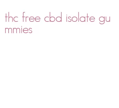 thc free cbd isolate gummies