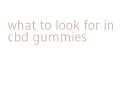 what to look for in cbd gummies