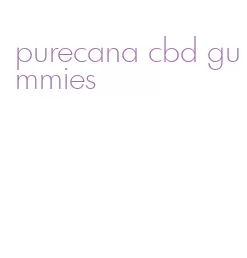 purecana cbd gummies