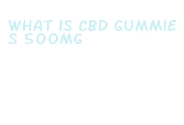 what is cbd gummies 500mg