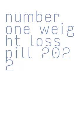 number one weight loss pill 2022