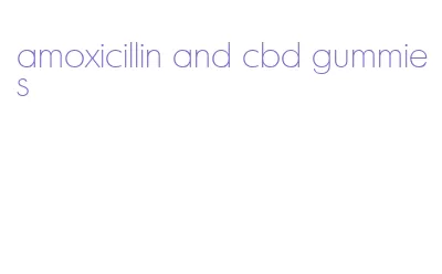 amoxicillin and cbd gummies