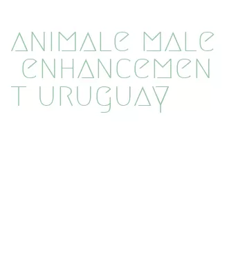 animale male enhancement uruguay
