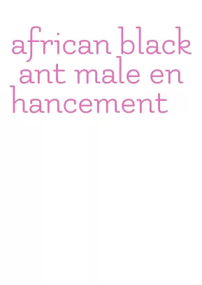 african black ant male enhancement