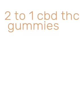2 to 1 cbd thc gummies
