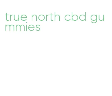 true north cbd gummies