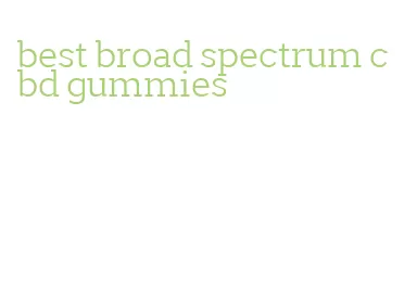 best broad spectrum cbd gummies