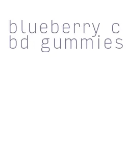 blueberry cbd gummies