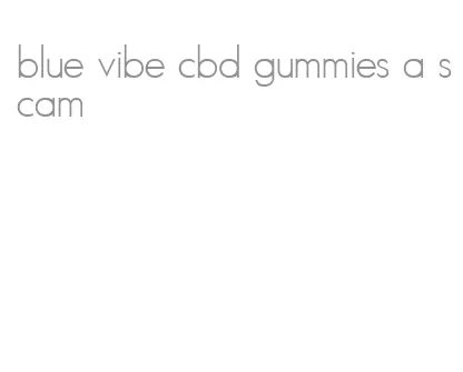 blue vibe cbd gummies a scam