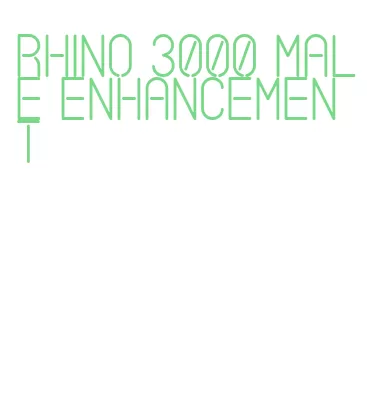 rhino 3000 male enhancement