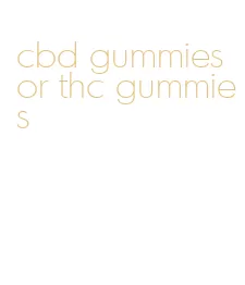 cbd gummies or thc gummies