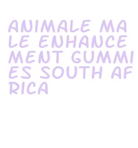 animale male enhancement gummies south africa