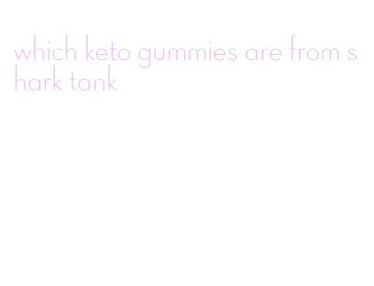 which keto gummies are from shark tank