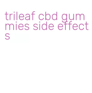 trileaf cbd gummies side effects