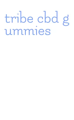 tribe cbd gummies