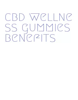 cbd wellness gummies benefits