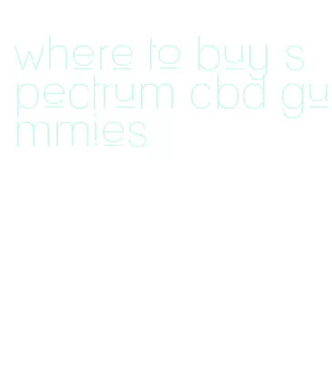 where to buy spectrum cbd gummies