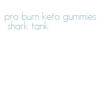 pro burn keto gummies shark tank