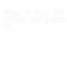 what is full spectrum cbd gummies